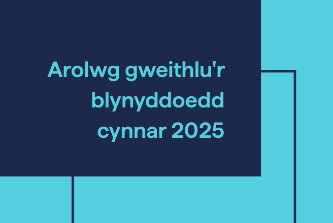 Arolwyg gweithlu'r blynyddoedd cynnar graphic - glas