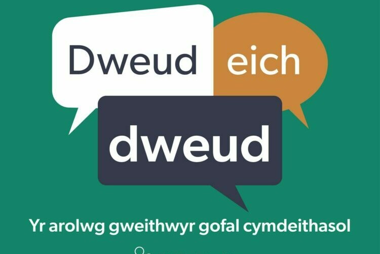 logo graffig Gofal Cymdeithasol Cymru "Dweuch eich dweud"